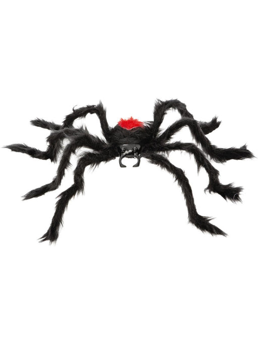 Black Widow Hairy Spider