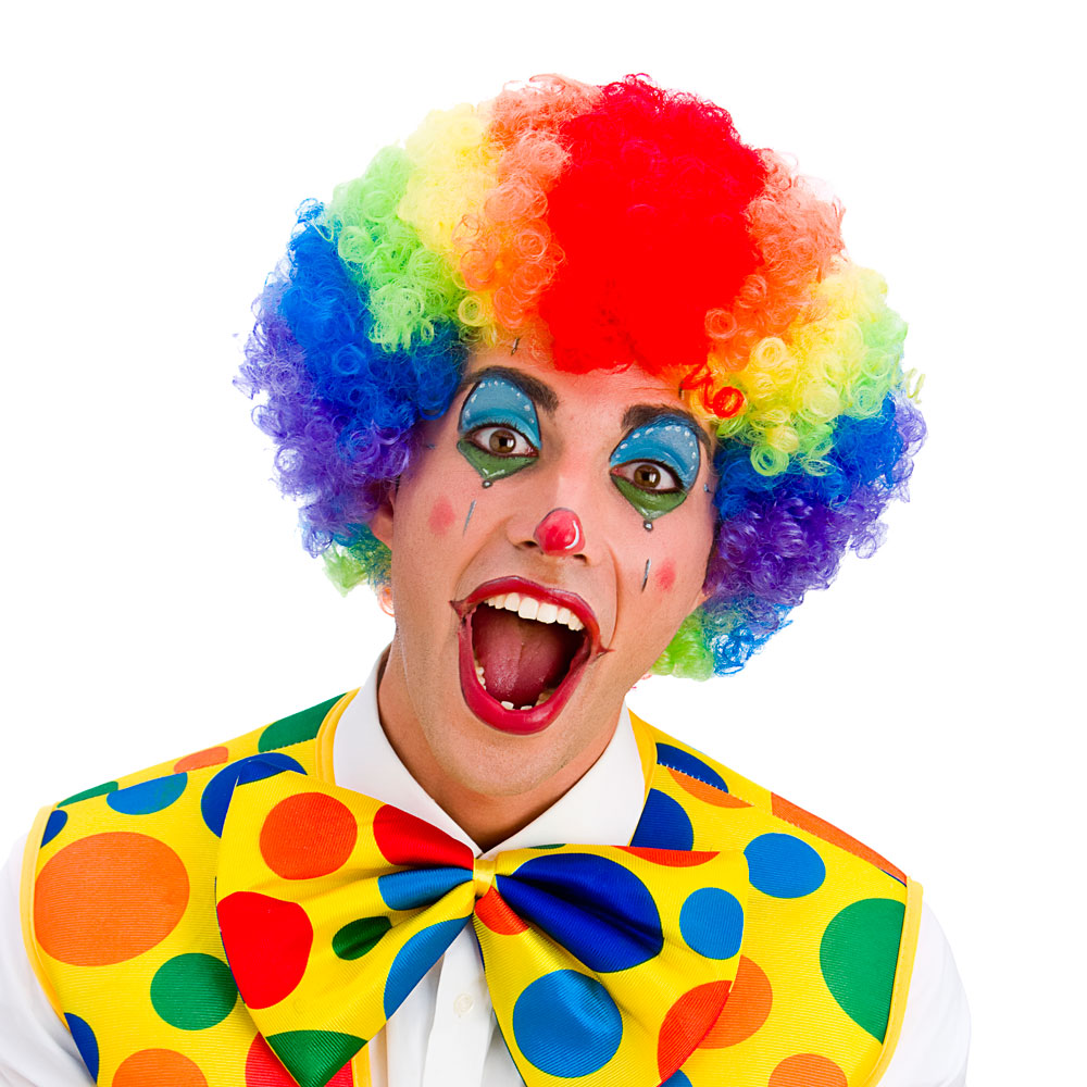 Clown Rainbow Afro Wig (EW-8189)