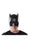 Adult Batman Mask