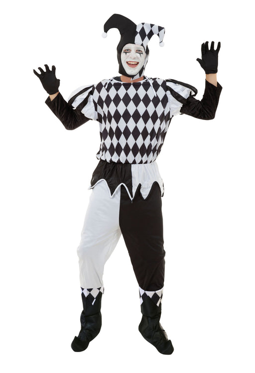 Harlequin Male Costume  SALE